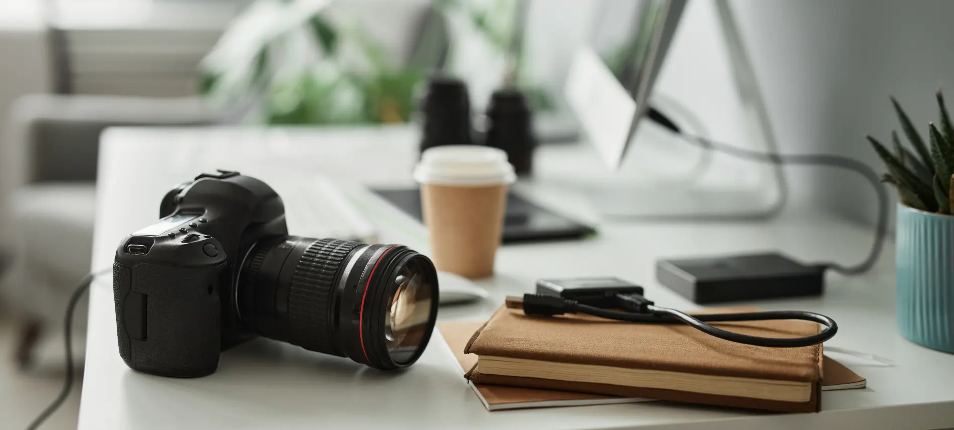 스카이즈코리아